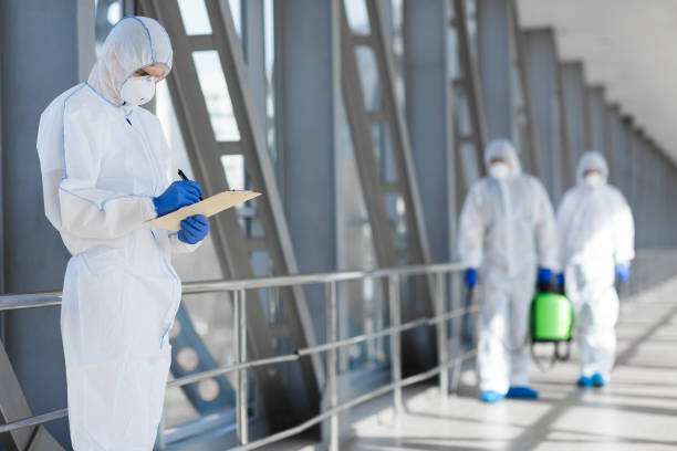 Best Water Damage & Mold Remediation  in Granite Falls, WA