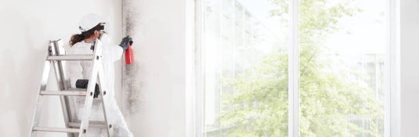 Best Mold Prevention Services  in Granite Falls, WA